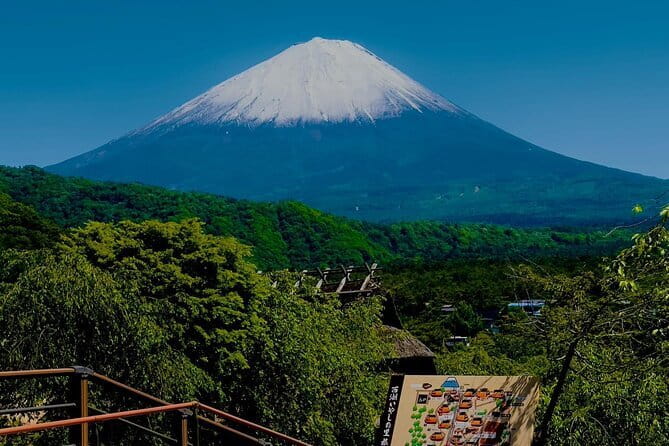 Full Guided Mt. Fuji & Shiba-Sakura Festival One Day Pvt.Tour - Key Points to Know Before You Book