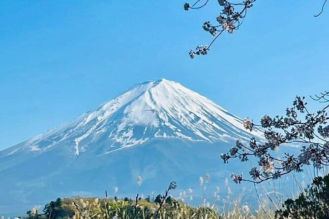 Full Guided Mt. Fuji & Shiba-Sakura Festival One Day Pvt.Tour - Lake Kawaguchiko and Oishi Park