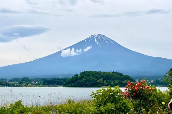 Full Guided Mt. Fuji & Shiba-Sakura Festival One Day Pvt.Tour - Mount Fuji Subaru Line 5th Station at 2,305 Meters