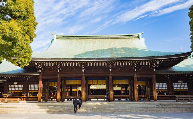 Get Unique Insights into Tokyo - Private Tour with local Guide - Key Things to Know Before Booking