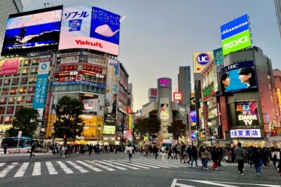 Get Unique Insights into Tokyo - Private Tour with local Guide - Starting at Meiji Jingu, Tokyo’s Quiet First Impression