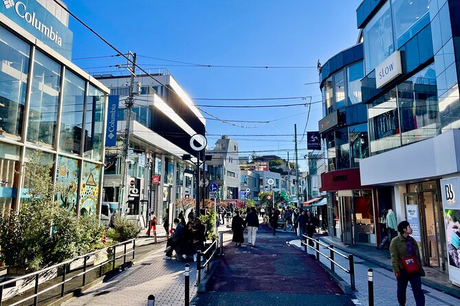 Get Unique Insights into Tokyo - Private Tour with local Guide - Photos, Snacks, and the Small Extras That Matter