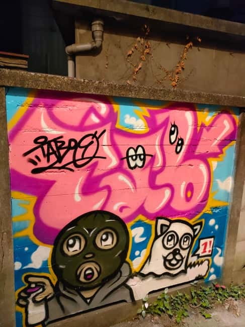 Graffiti in Tokyo Walking Tour: Shibuya and Harajuku - Is $38 a fair price?