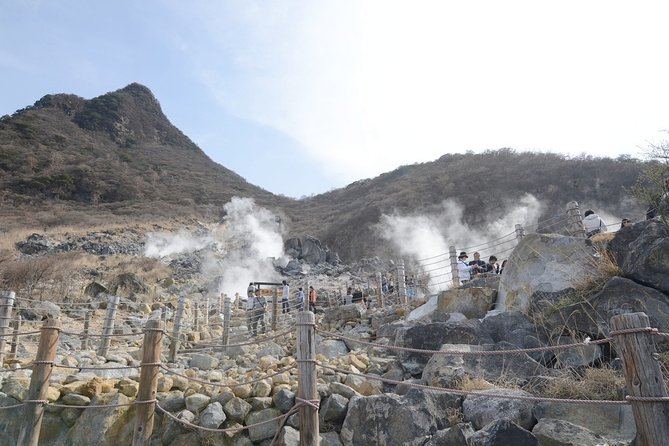 Hakone 6 hour Private Tour with Government-Licensed Guide - What this private Hakone tour really offers