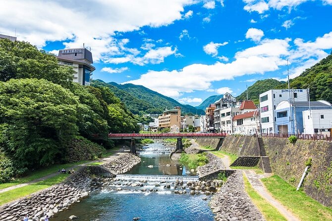 Hakone 6 hour Private Tour with Government-Licensed Guide - Six hours, walking, and the real cost