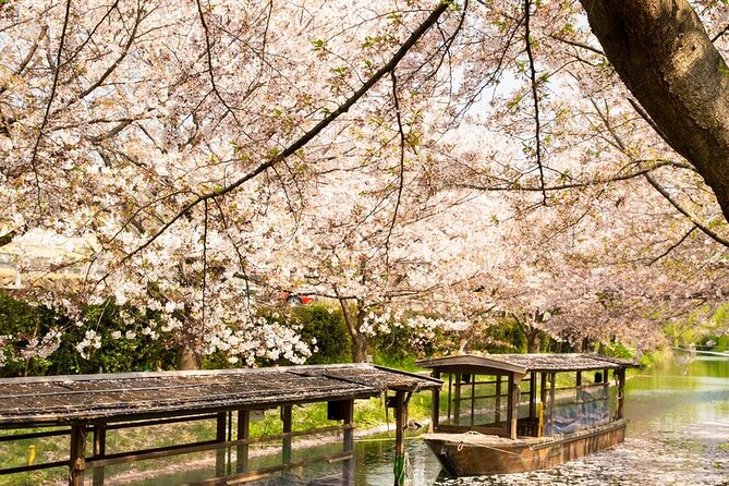 Hakone and Mt. Fuji Day Trip with Private Vehicle - What the price really buys you