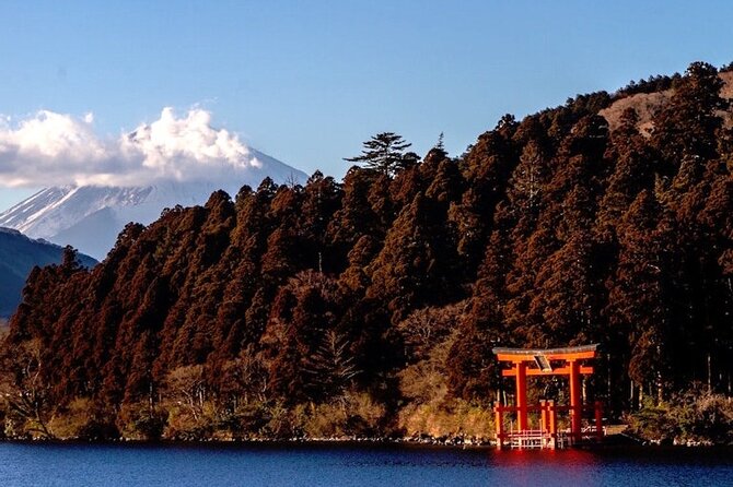 Hakone and Mt Fuji Private Custom Tour with English Guide - One long day from Tokyo, made easier by a private car
