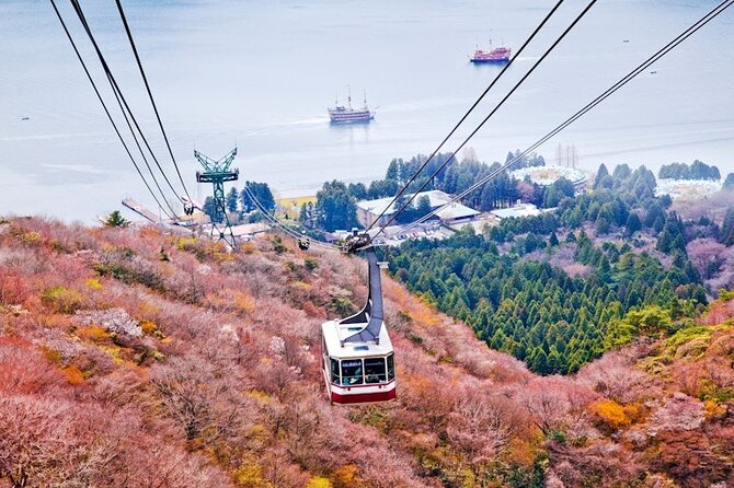 Hakone and Mt Fuji Private Custom Tour with English Guide - Lake Kawaguchi and the classic Fuji view