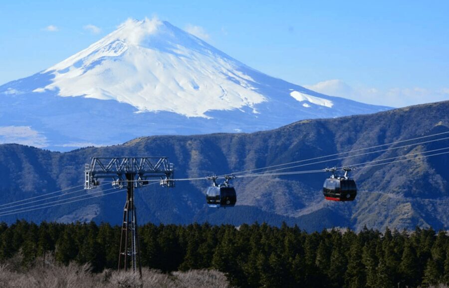Hakone: Customizable Full Day Tour with Private Transfer - Hakone Open Air Museum for an Art-Focused Stop