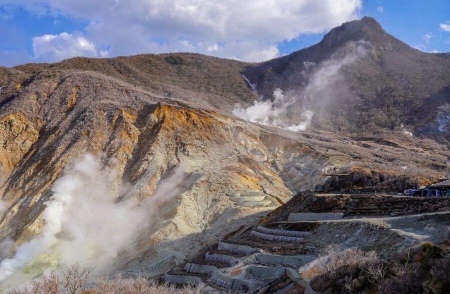Hakone: Customizable Full Day Tour with Private Transfer - What the Best Day Looks Like