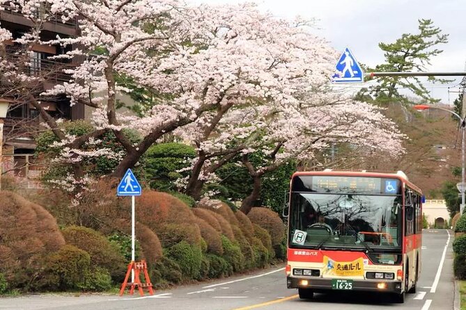 Hakone Free Pass, 2-3 Days Travel Voucher Japan - Lake Ashi and the Hakone Sightseeing Cruise