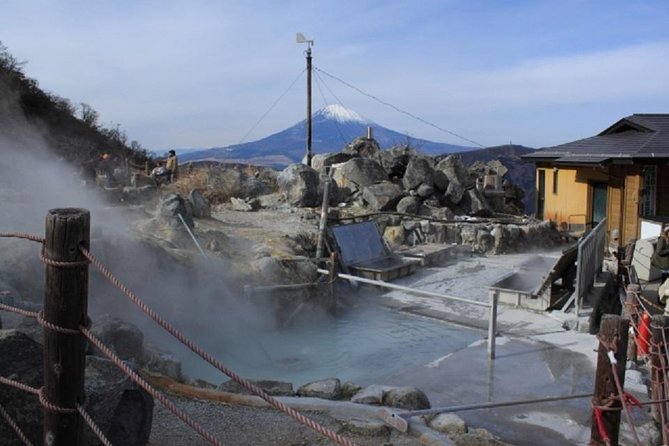 Hakone Full-Day Private Tour - Why a private day works well in Hakone