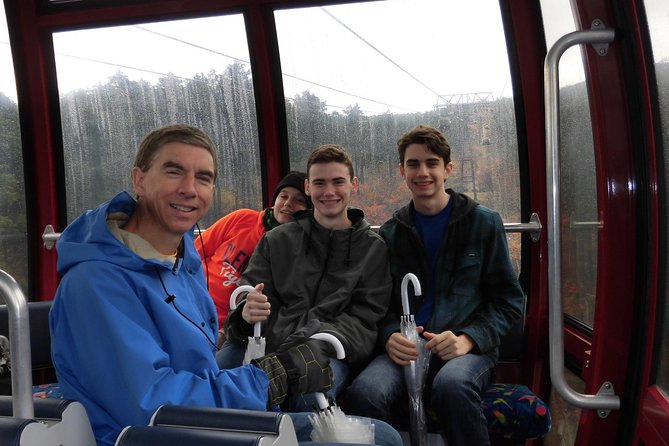 Hakone Full-Day Private Tour By Public Transportation - Owakudani Valley and Hakone’s active volcanic side
