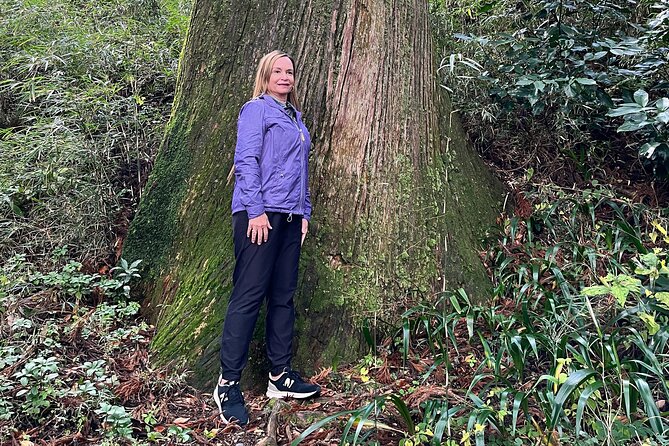 Hakone Full Day Tour with Guide and Vehicle - How to build the best six-hour route