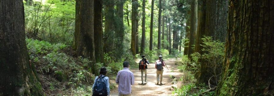 Hakone Geology & History Tour - Why Hakone makes a fine history lesson