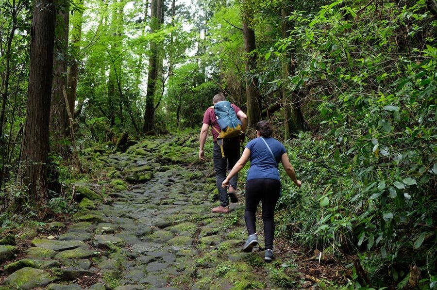 Hakone Hachiri: Old Tokaido Highway Hiking Half-day tour - Key points to know before you book