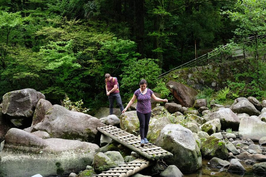 Hakone Hachiri: Old Tokaido Highway Hiking Half-day tour - Why the Old Tokaido feels different on foot