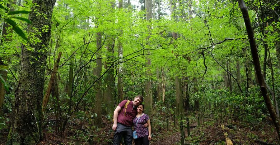 Hakone Hachiri: Old Tokaido Highway Hiking Half-day tour - Hatajuku, the woodcarving village