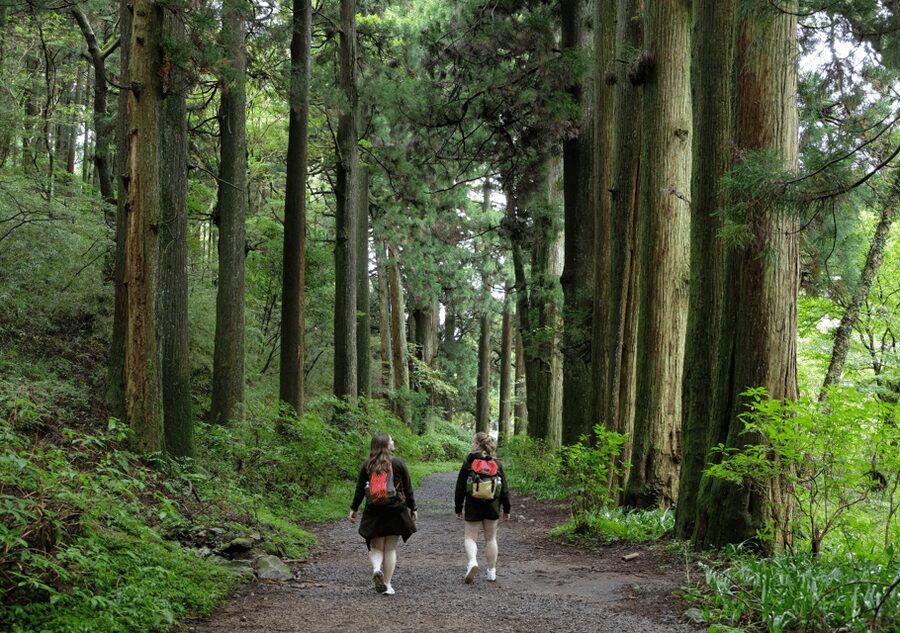 Hakone Hachiri: Old Tokaido Highway Hiking Half-day tour - Lake Ashi and the postcard view