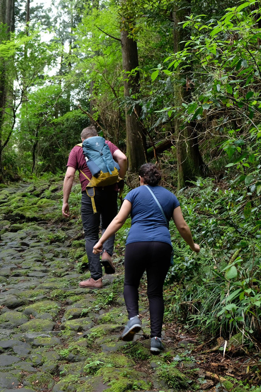 Hakone Hachiri: Old Tokaido Highway Hiking Half-day tour - Hakone Checkpoint and an early finish