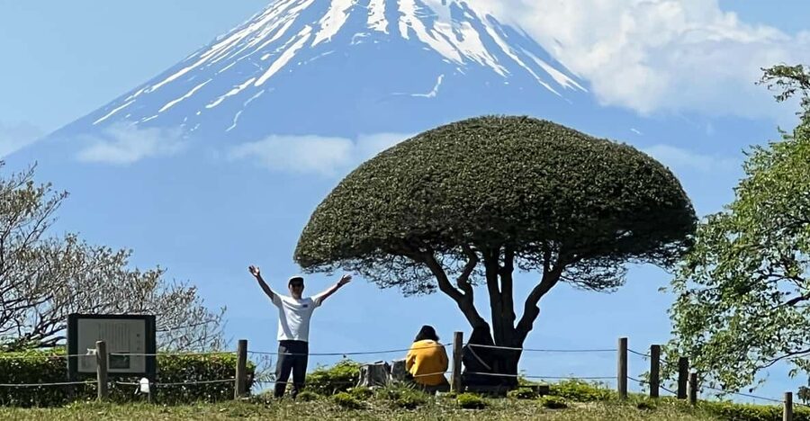 Hakone Hachiri: Old Tokaido Highway Hiking Tour - Key Points Before You Book
