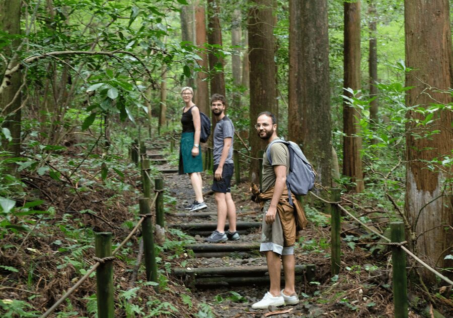 Hakone Hachiri: Old Tokaido Highway Hiking Tour - Amasake at the Historic Teahouse