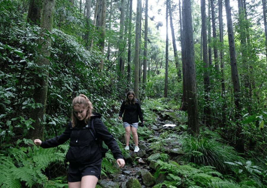 Hakone Hachiri: Old Tokaido Highway Hiking Tour - Cobblestones, Lake Ashi, and the Famous Torii Gate