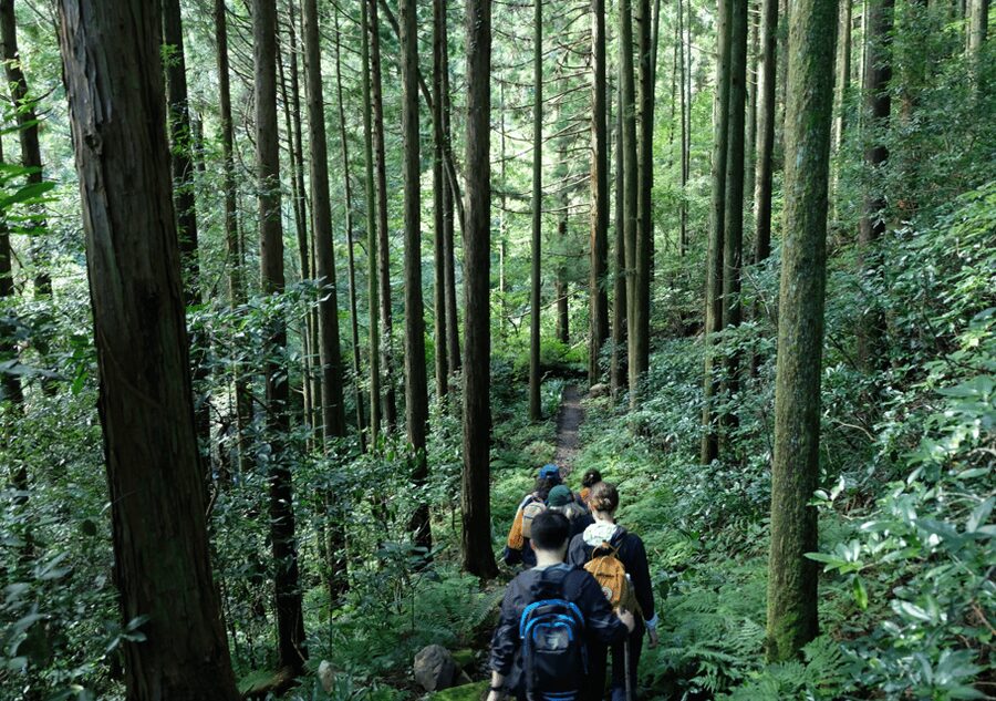 Hakone Hachiri: Old Tokaido Highway Hiking Tour - How Hard Is the Hike?