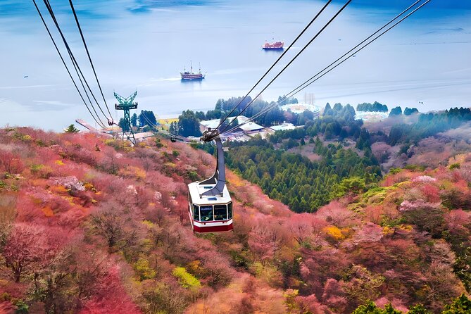 Hakone Private Customized Day Tour - The Hakone Pirate Ship across Lake Ashi