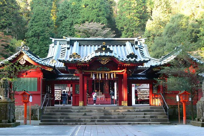 Hakone Private Customized Day Tour - The vehicle, driver, and language details