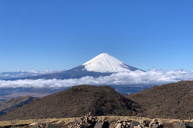 Hakone Private One Day Tour From Tokyo: Mt Fuji, Lake Ashi, Hakone National Park - Why this private Hakone day trip works