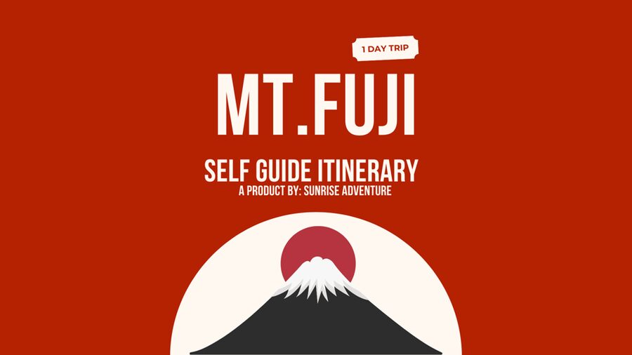 Hakone: Self Guided Trip to Mt. Fuji // Made by Local Guides - Lake Ashi and the pirate ship ride