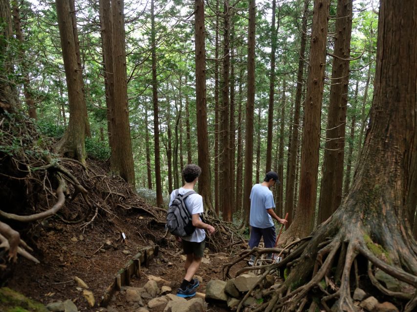 Hakone: Traverse the Hakone Caldera and Enjoy Onsen - The 90-minute climb and volcanic views