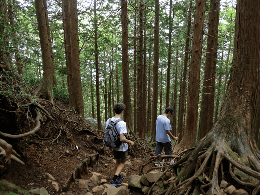 Hakone: Traverse the Hakone Caldera and Enjoy Onsen - The descent to Togendai and a local meal