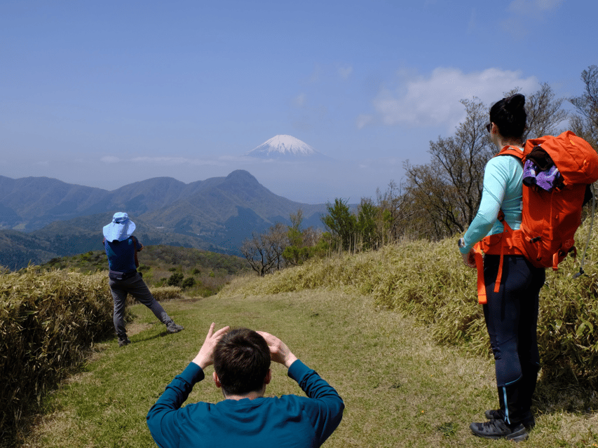 Hakone: Traverse the Hakone Caldera and Enjoy Onsen - What the $154 price really buys