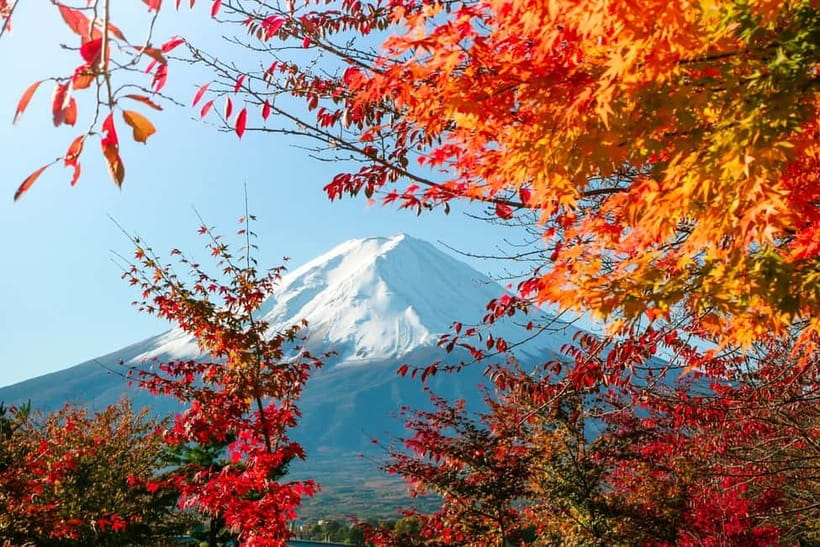 Halfway Up Mt,Fuji, Oshino Hakkai, Kawaguchiko from Tokyo - Fuji Michi and the famous street view