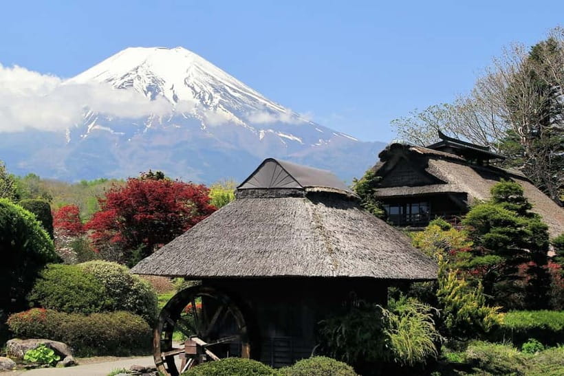 Halfway Up Mt,Fuji, Oshino Hakkai, Kawaguchiko from Tokyo - Is $74 good value?
