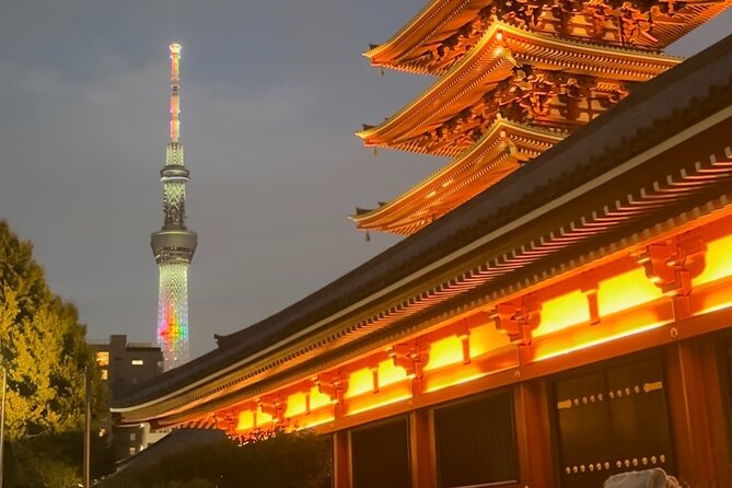 Haneda Airport Private Transfer – Luxury Car & Meet & Greet - Luxury car claims and vehicle expectations