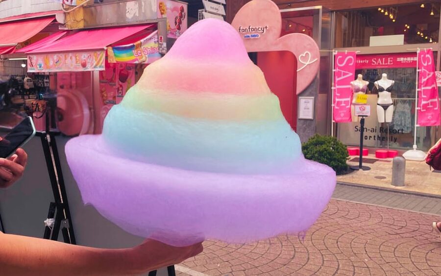 Harajuku : Blend of Tradition & Pop Culture for Family Tour - Group size, pace, and accessibility