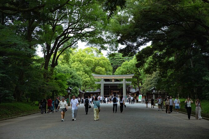 Harajuku Meiji Shrine Walking Tour in Tokyo - Is $25 a good value?