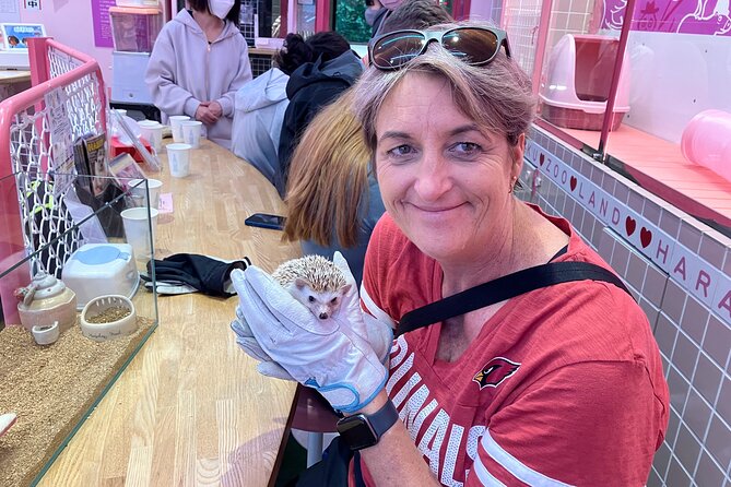Harajuku Private Tour: Kawaii Fashion & Animal Cafe Included - Choosing the animal-café stop