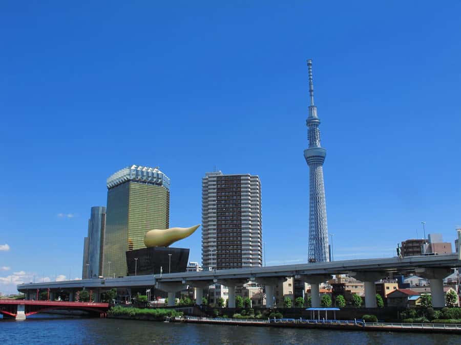 Highlights of Tokyo Private Tour with a Licensed Guide - Trains, walking, and the true pace of the day