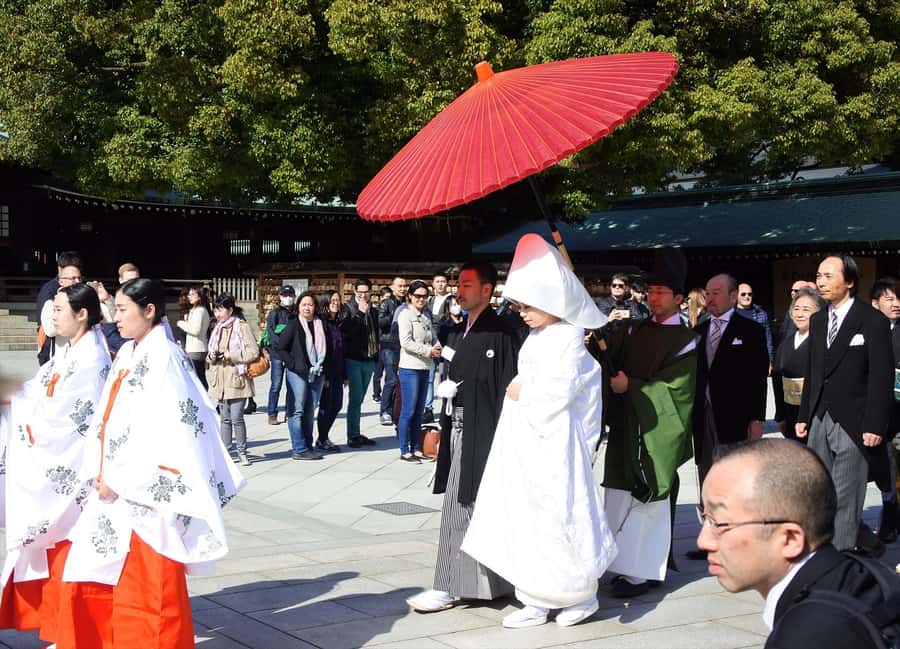 Highlights of Tokyo Private Tour with a Licensed Guide - Price and value for a private Tokyo day