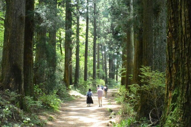 Hike Hakone Hachiri - Walking Japan’s old road between Edo and Kyoto