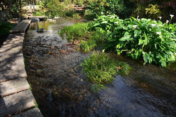 Hike Hakone Hachiri - Mishima’s Genbegawa waterways