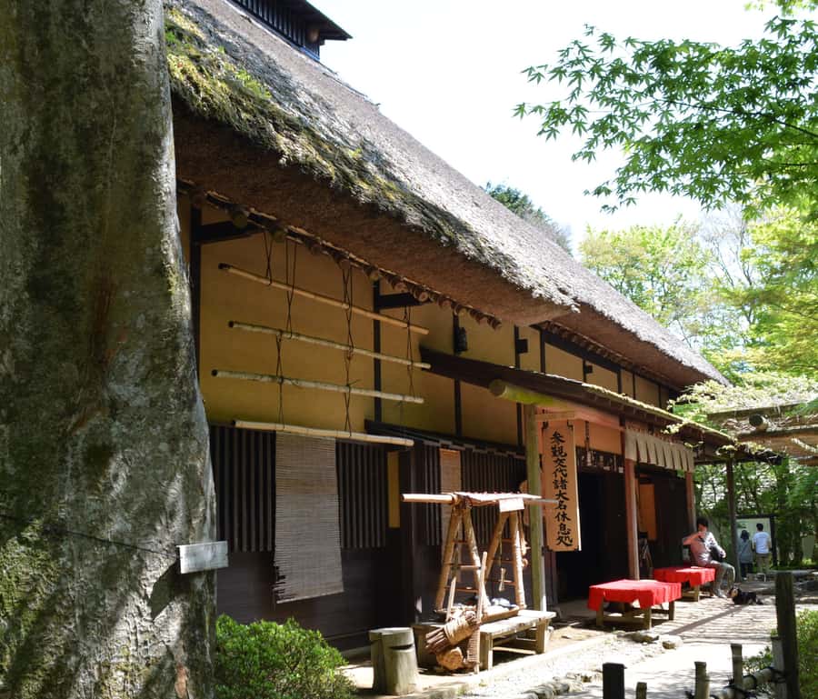 Hike Hakone Hachiri Japan Heritage Area - Lake Ashi, Cedar Avenue, and Hakone Checkpoint