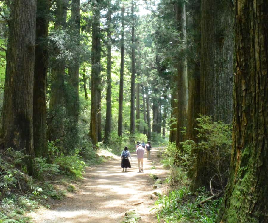 Hike Hakone Hachiri Japan Heritage Area - From the hills to Mishima