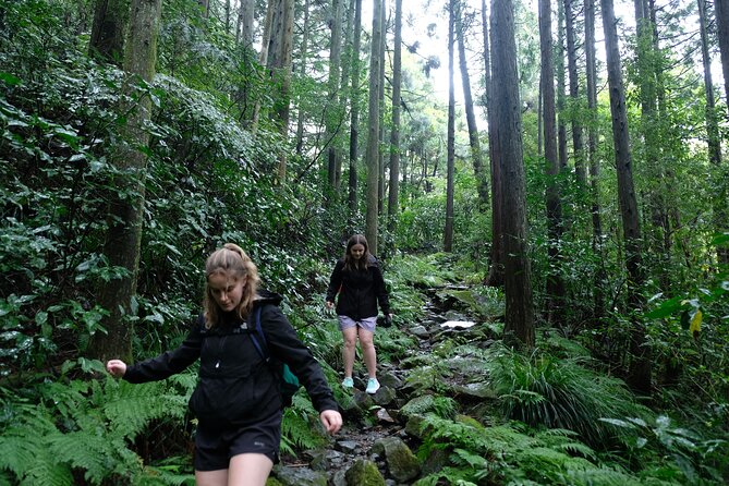Hike Japan Heritage Hakone Hachiri (Half Day) - Key points to know before you book