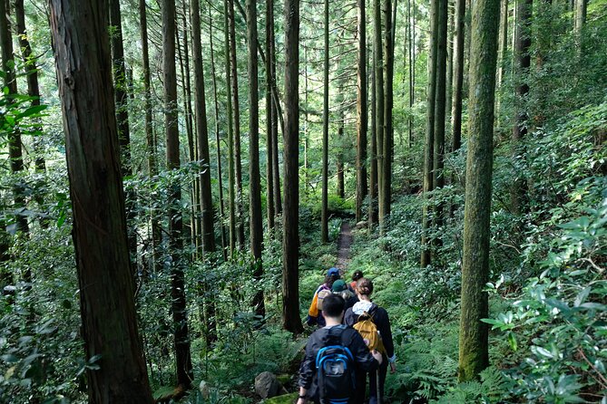 Hike Japan Heritage Hakone Hachiri (Half Day) - Hatajuku and the smart bus shortcut