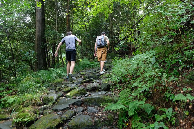 Hike Japan Heritage Hakone Hachiri with certified mountain guide - Ending in Mishima at the shrine and river